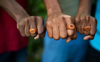 BANDI : la Caraïbe francophone propulsée sur la carte du monde